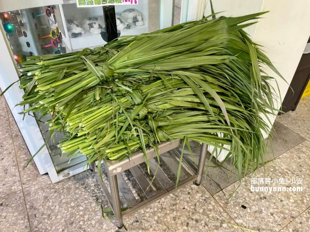 花蓮瑞穗吉蒸牧場，免門票餵小動物吃草好地方，沒有臭味的牧場