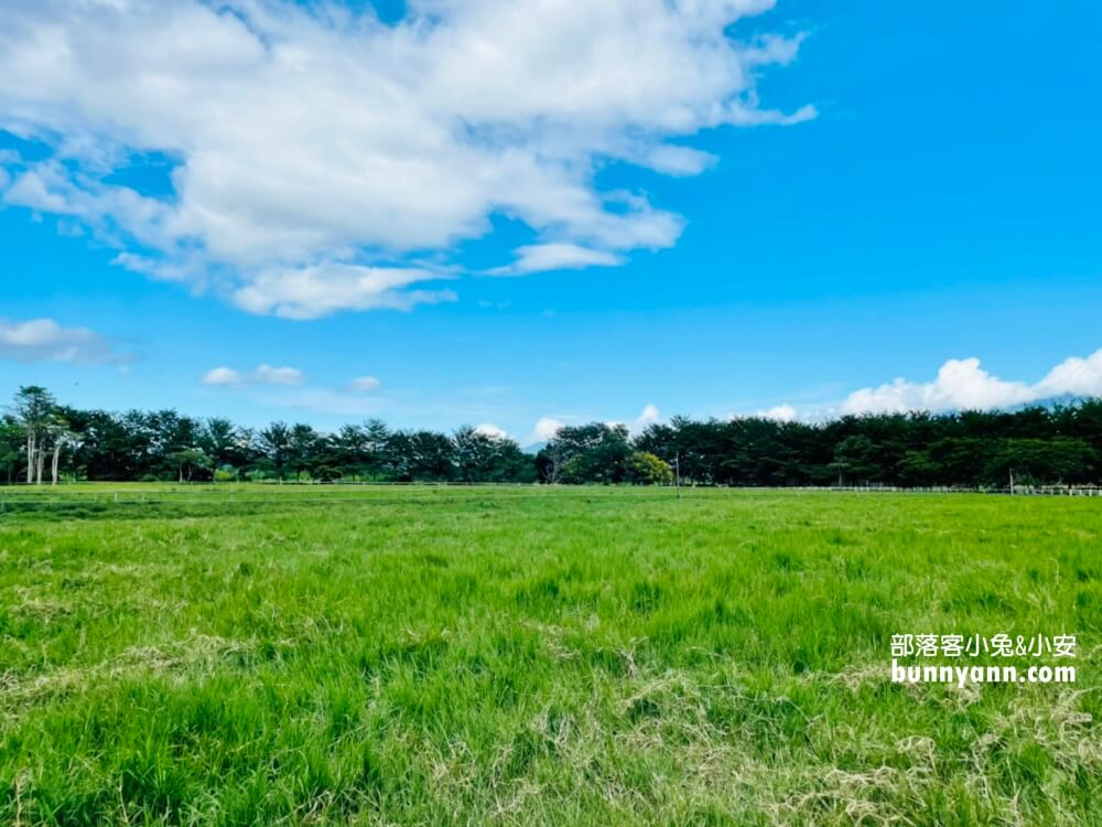 花蓮》瑞穗牧場，餵牛牛吃草，吃鮮奶饅頭、喝鮮奶好地方。