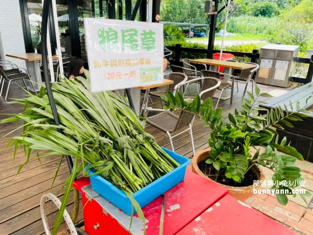 花蓮》瑞穗牧場，餵牛牛吃草，吃鮮奶饅頭、喝鮮奶好地方。