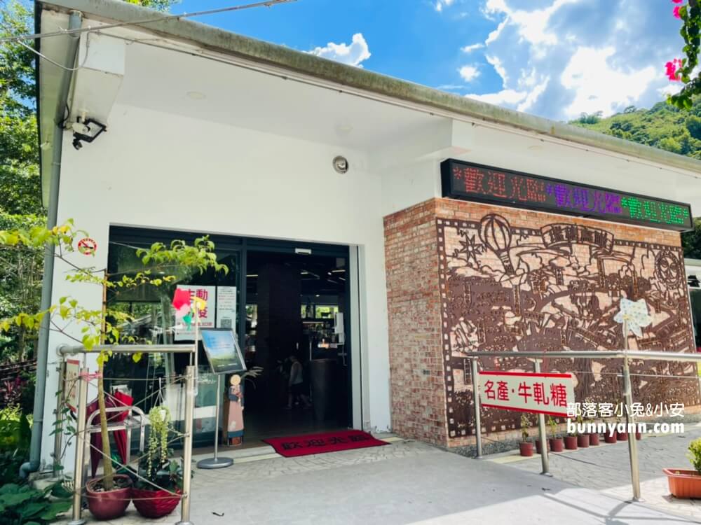 花蓮》瑞穗牧場，餵牛牛吃草，吃鮮奶饅頭、喝鮮奶好地方。