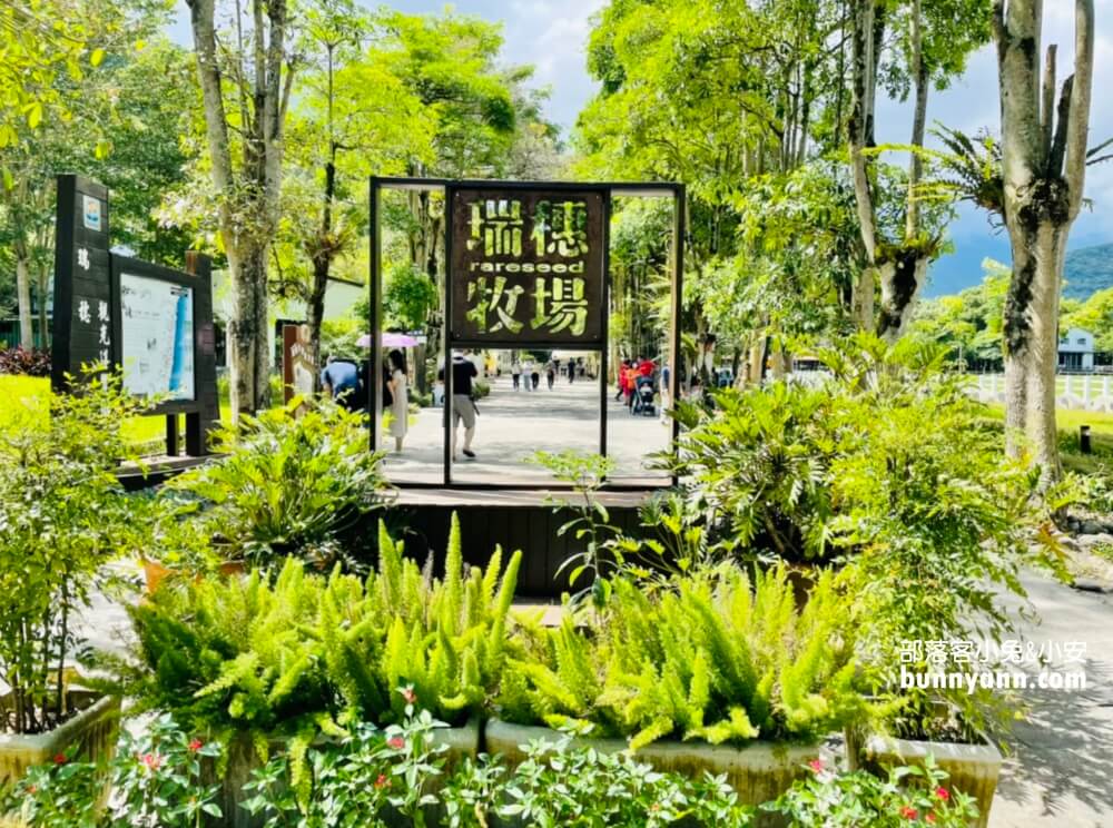 花蓮》瑞穗牧場，餵牛牛吃草，吃鮮奶饅頭、喝鮮奶好地方。