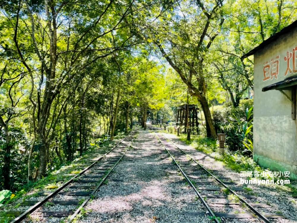 【林田山林業文化園區】暢遊森林鐵道，東部三大林場之一