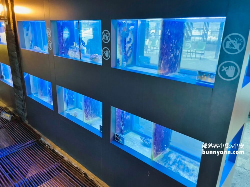 七星柴魚博物館｜花蓮免門票景點逛起來，柴魚故事館真有趣。
