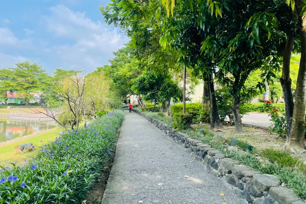 台南月津港親水公園，橋南老街半日遊，騎單車漫遊河濱好悠閒
