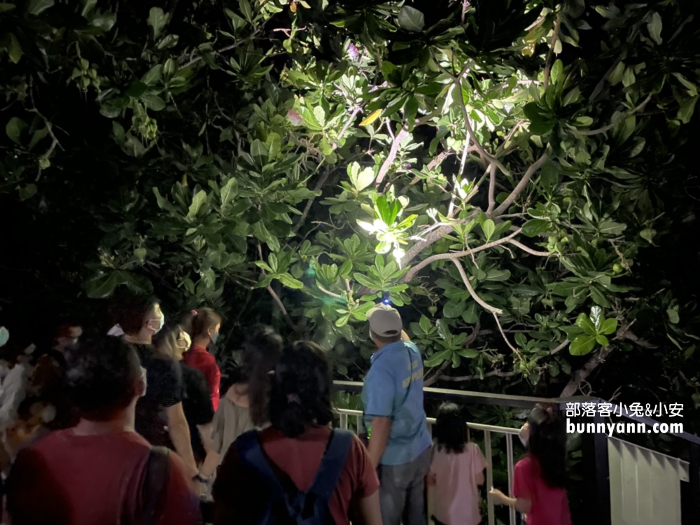 小琉球船屋特色民宿，市區中央民宿，房型介紹＆包套行程推薦