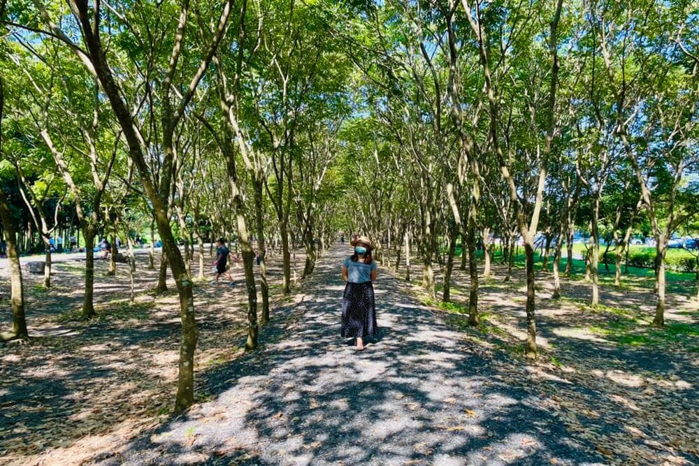 【林後四林平地森林園區】免費玩水景點，草地野餐交通懶人包