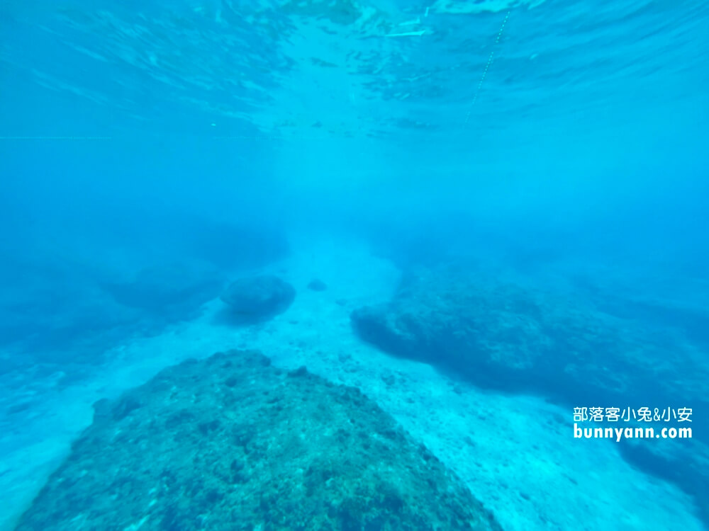 小琉球探索拉美半潛艇，看海龜和海底珊瑚，門票資訊與優惠整理!!