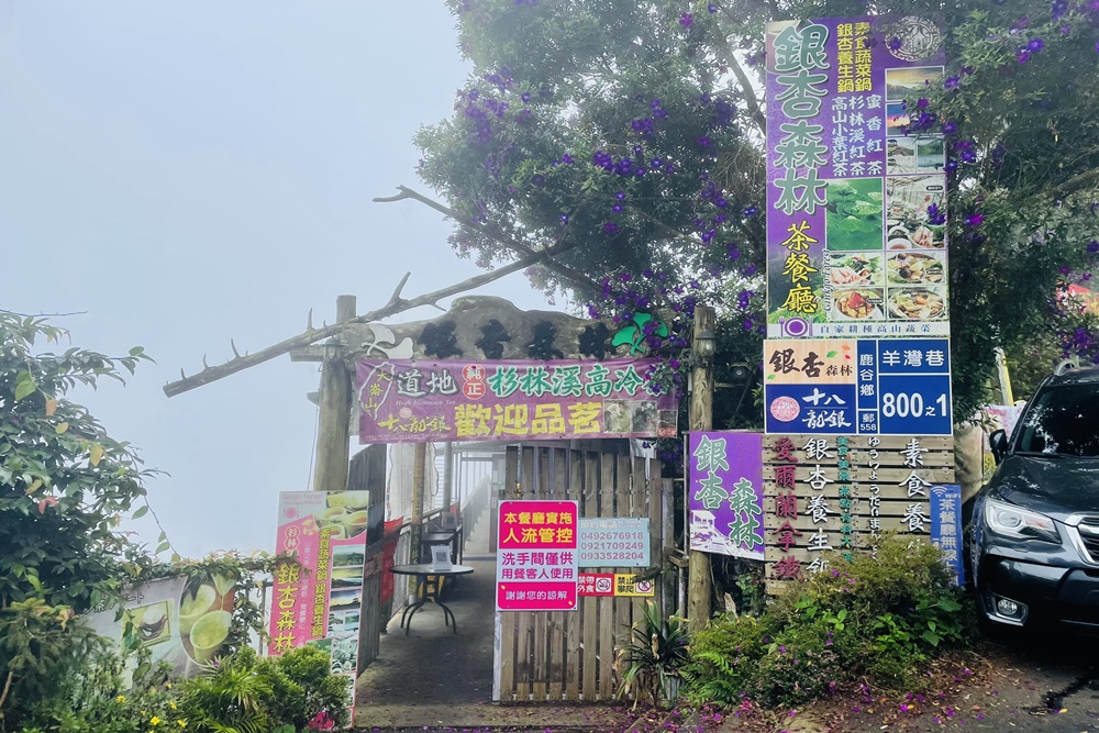 南投銀杏森林值得去嗎?武岫農圃&大崙山觀景臺的交通路況