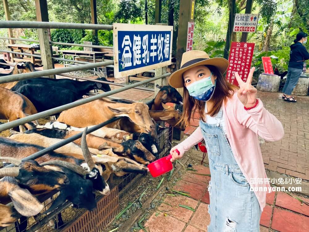 台中》益健乳羊牧場，不用入場費飼料又便宜，餵羊好地方