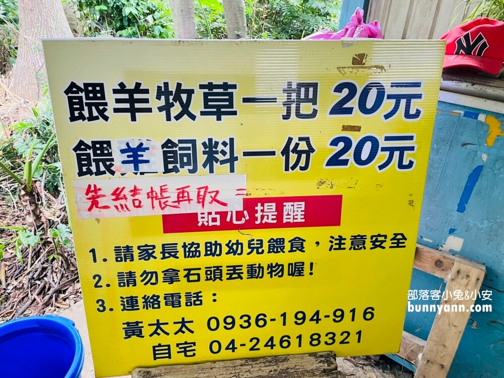 台中》益健乳羊牧場，不用入場費飼料又便宜，餵羊好地方