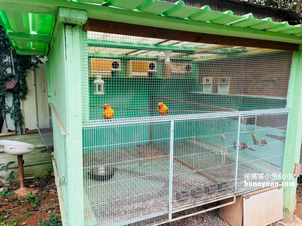 台中》益健乳羊牧場，不用入場費飼料又便宜，餵羊好地方