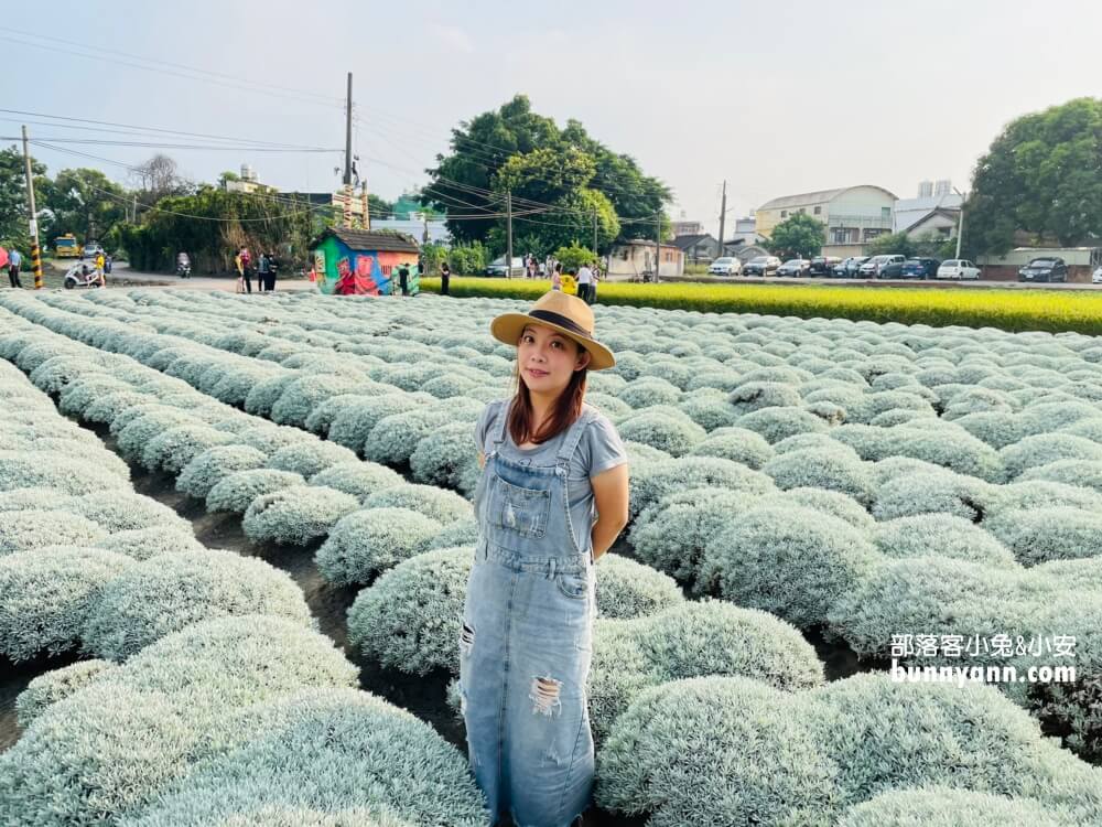 帶你拍雲林波波草，淋上糖霜的抹茶巧克力球好療癒