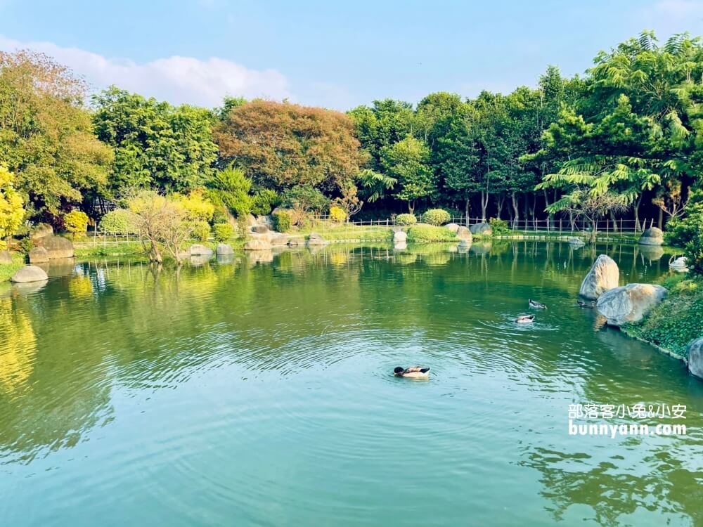 【澄霖沉香味道森林館】收費參觀，水之教堂和落羽松步道超美