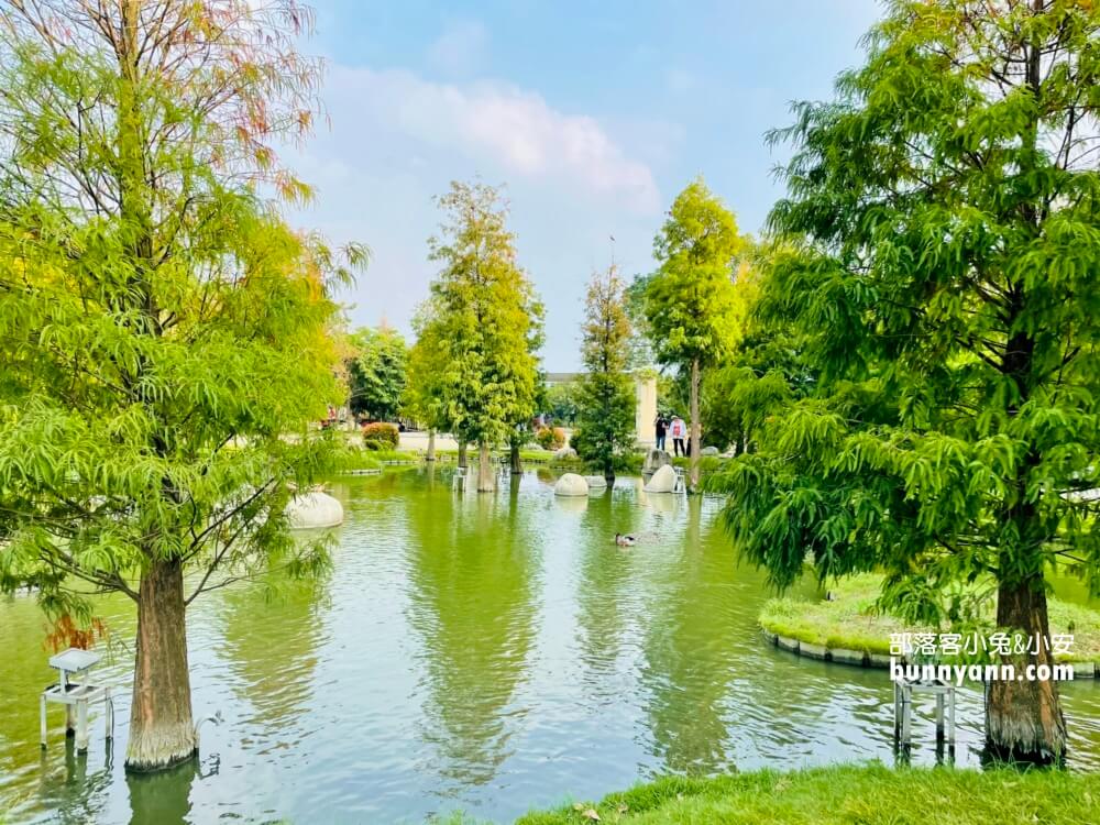 【澄霖沉香味道森林館】收費參觀，水之教堂和落羽松步道超美