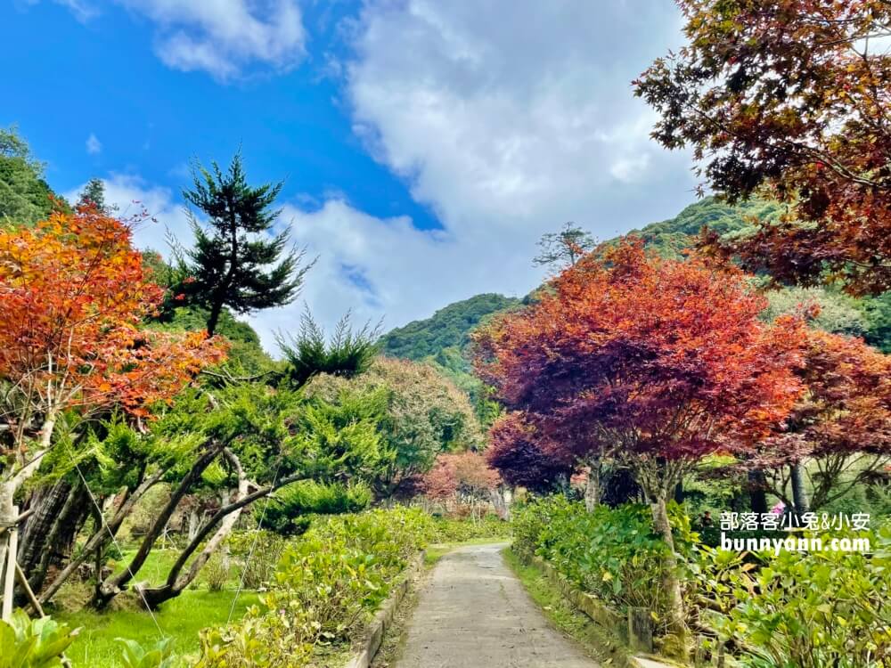 杉林溪森林生態渡假園區