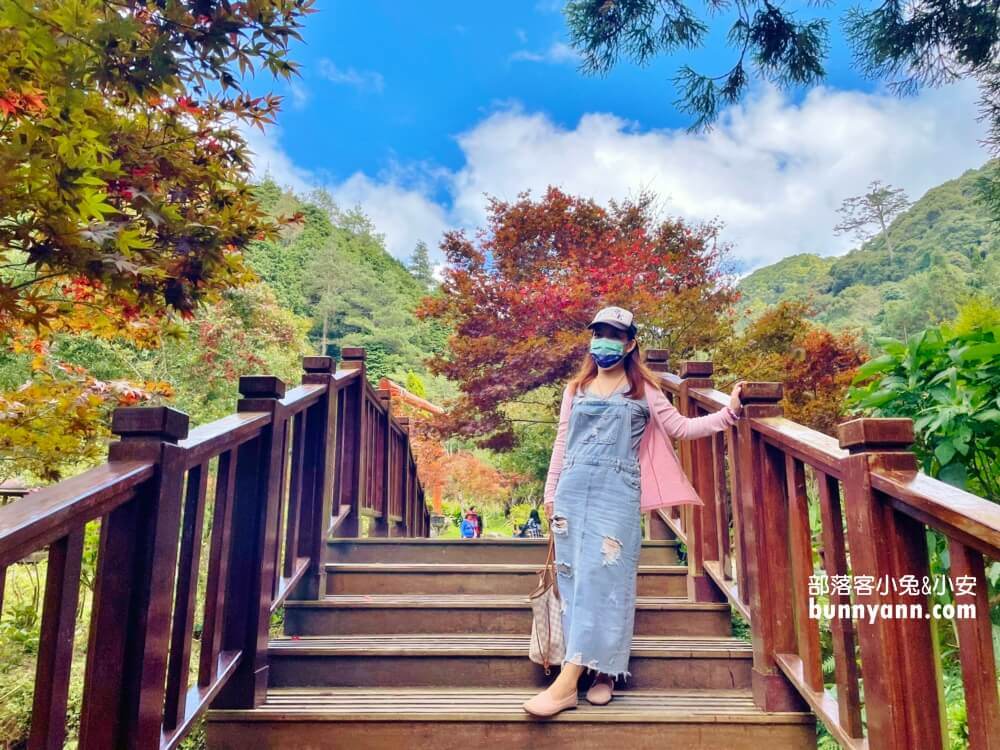 杉林溪森林生態渡假園區