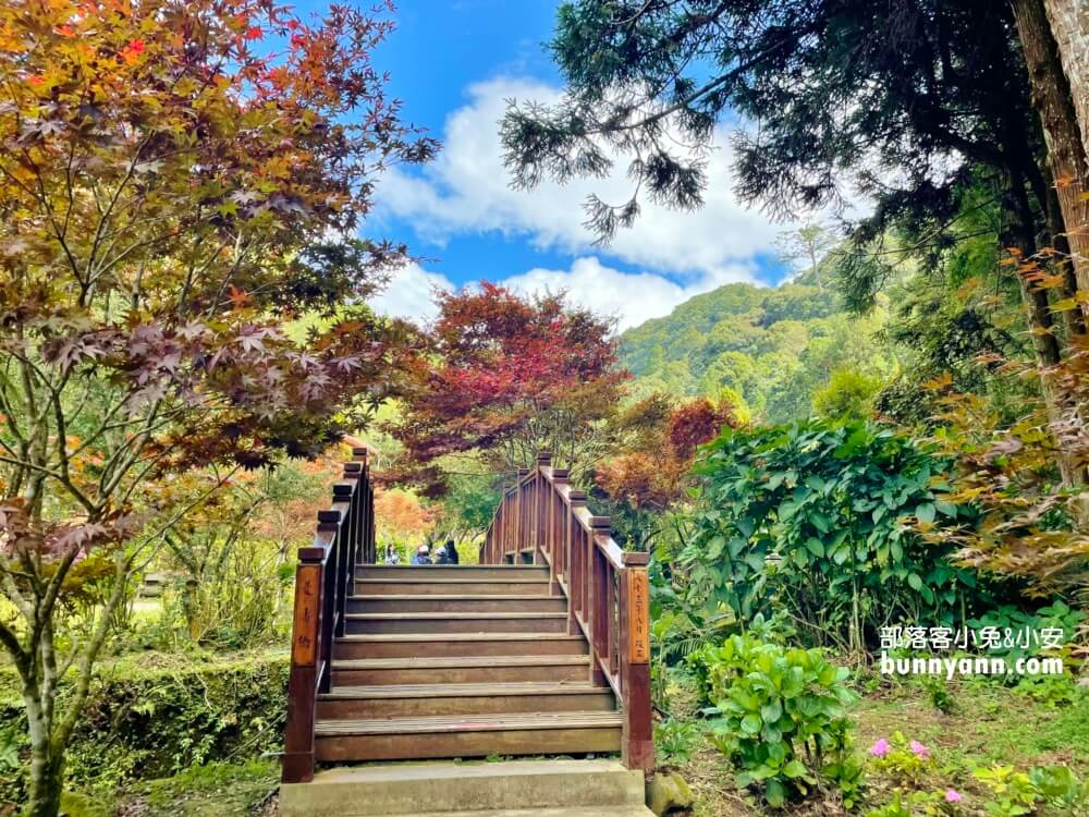 杉林溪森林生態渡假園區