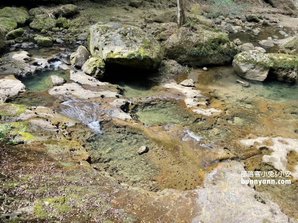 杉林溪森林生態渡假園區