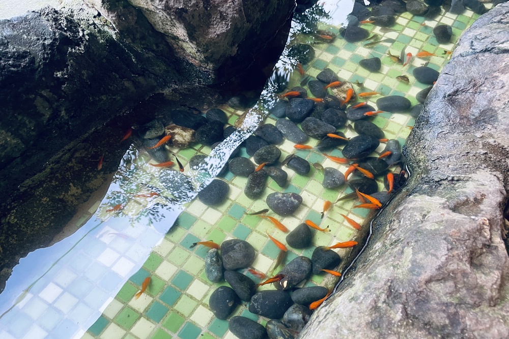 宜蘭【流水森林】義大利麵不但好吃又有入味，價格還很親民