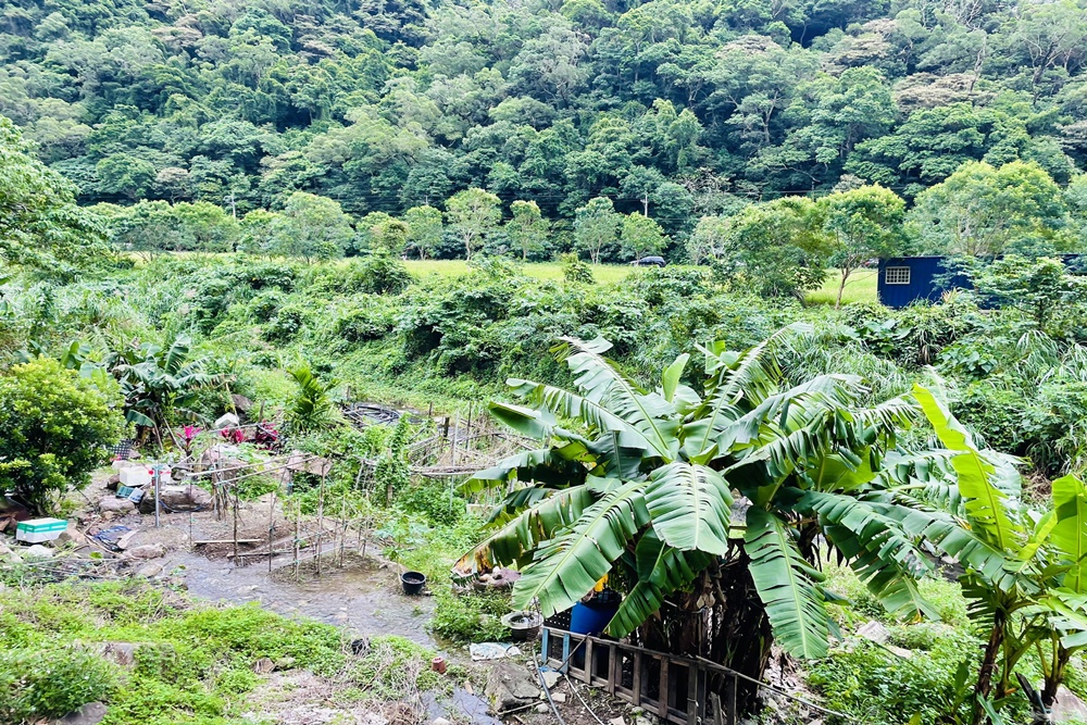宜蘭【流水森林】義大利麵不但好吃又有入味，價格還很親民