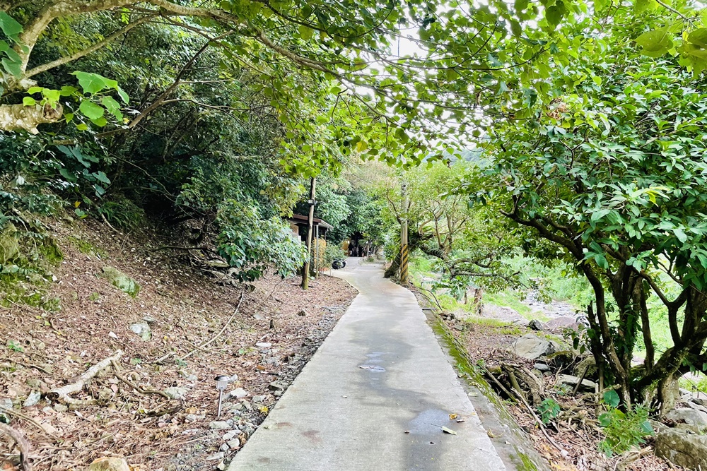 宜蘭【流水森林】義大利麵不但好吃又有入味，價格還很親民