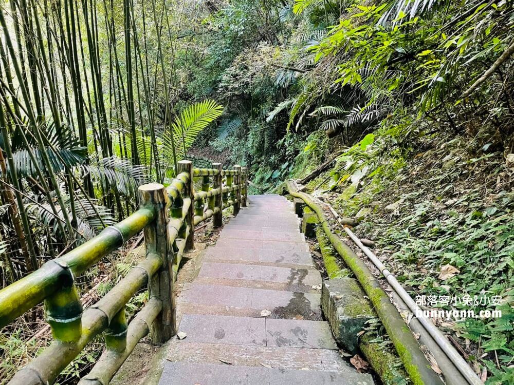 義興吊橋｜桃園復興美拍京都嵐山竹林，20分鐘輕鬆攻略賞景