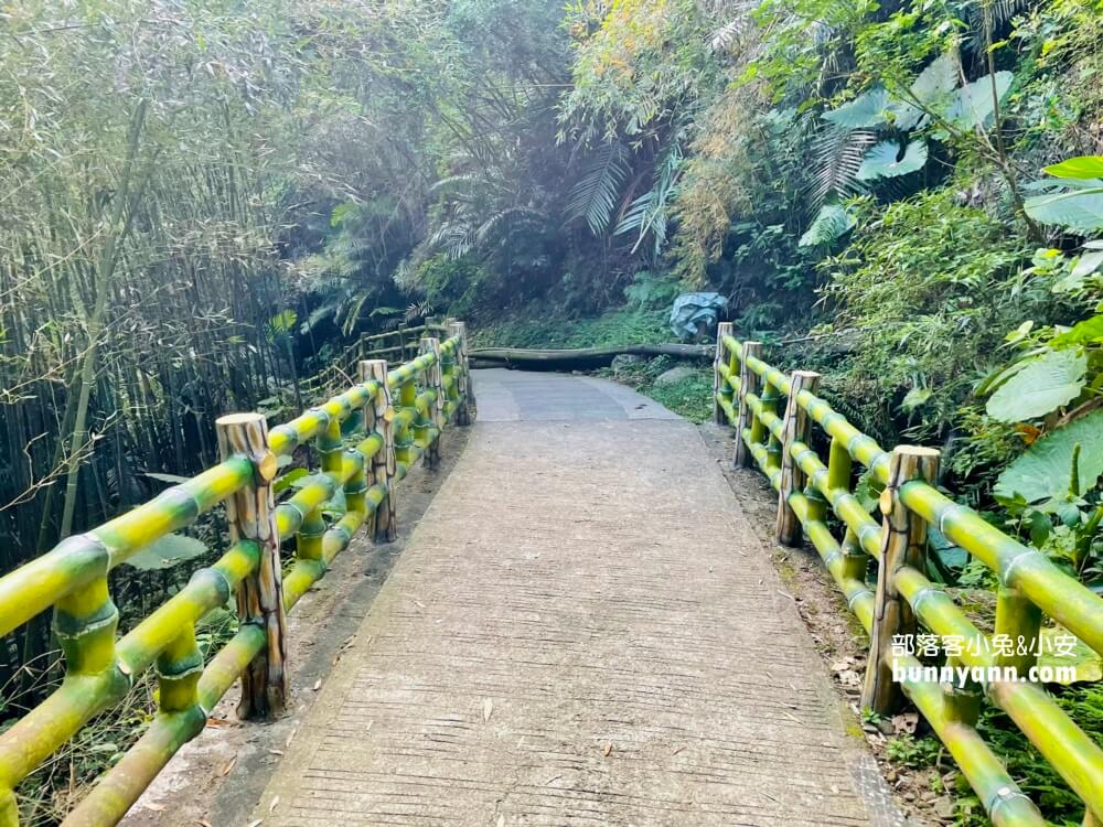 義興吊橋｜桃園復興美拍京都嵐山竹林，20分鐘輕鬆攻略賞景