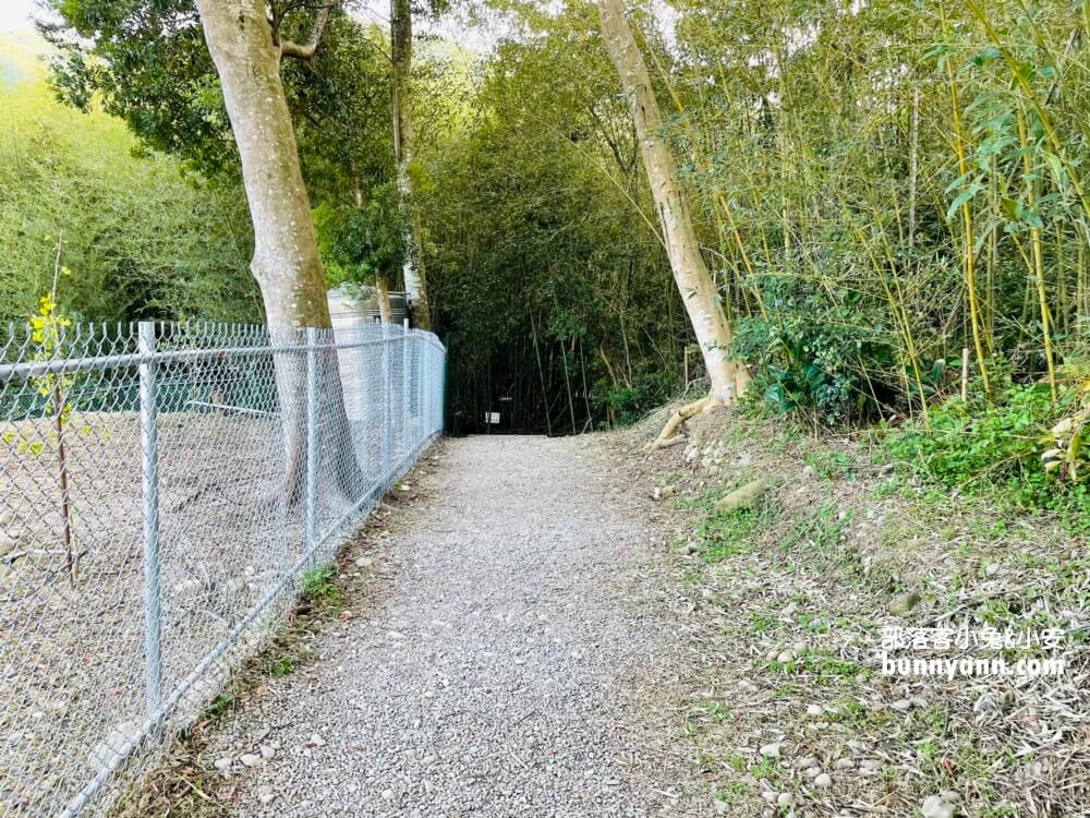 義興吊橋｜桃園復興美拍京都嵐山竹林，20分鐘輕鬆攻略賞景