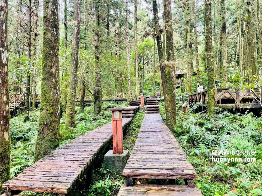 宜蘭明池森林遊樂區，單程只要步行約30分鐘就能環湖一圈