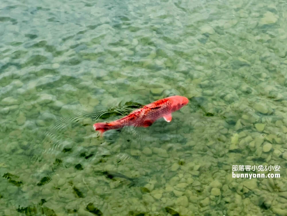 宜蘭明池森林遊樂區，單程只要步行約30分鐘就能環湖一圈