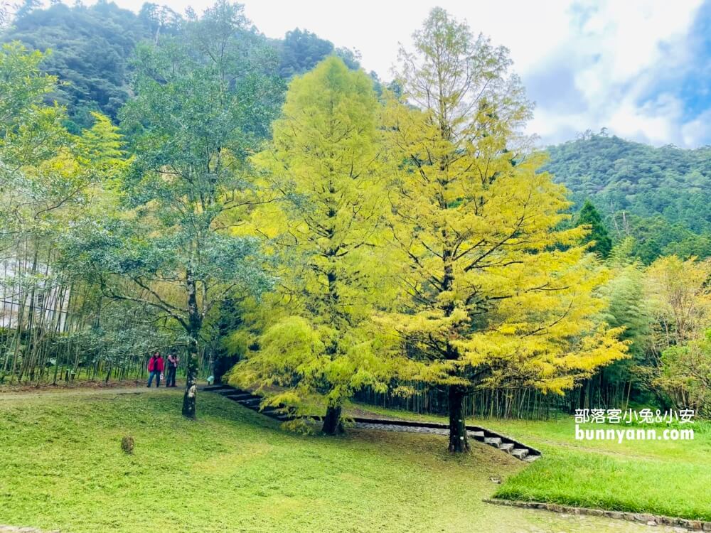 宜蘭明池森林遊樂區，單程只要步行約30分鐘就能環湖一圈