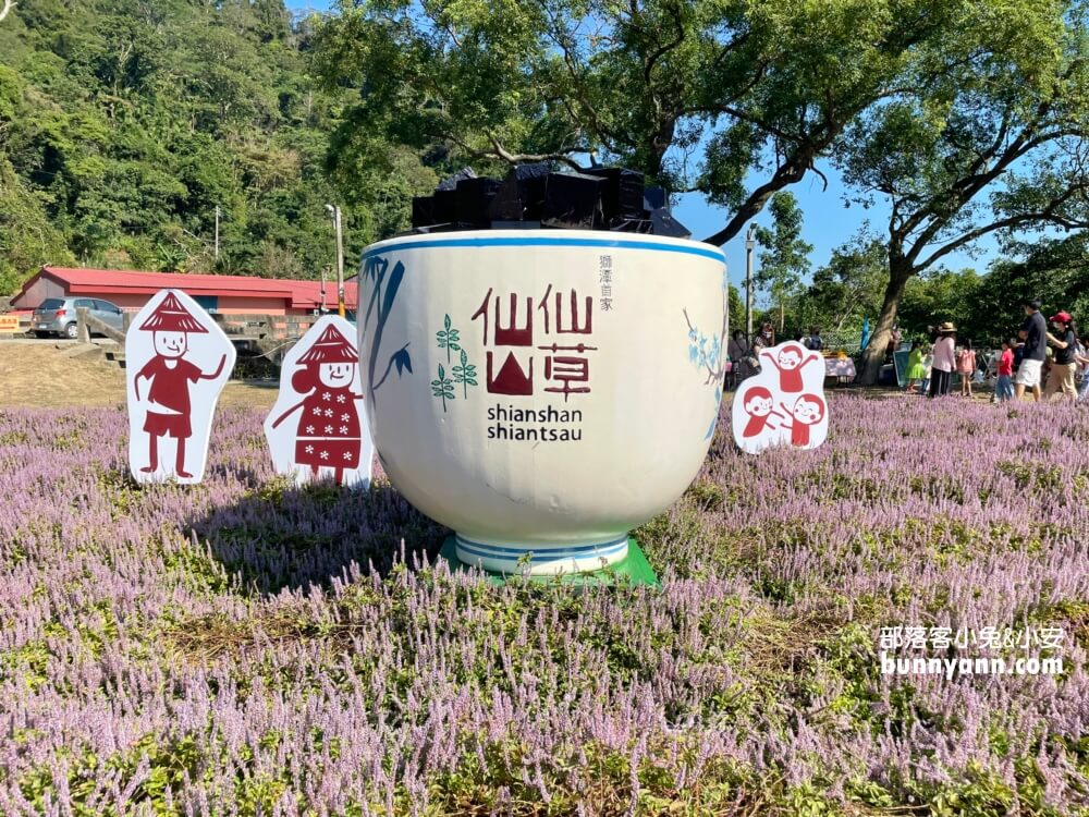 獅潭仙草花節值得去嗎？帶你停車跟吃仙草冰，夢幻紫色花海