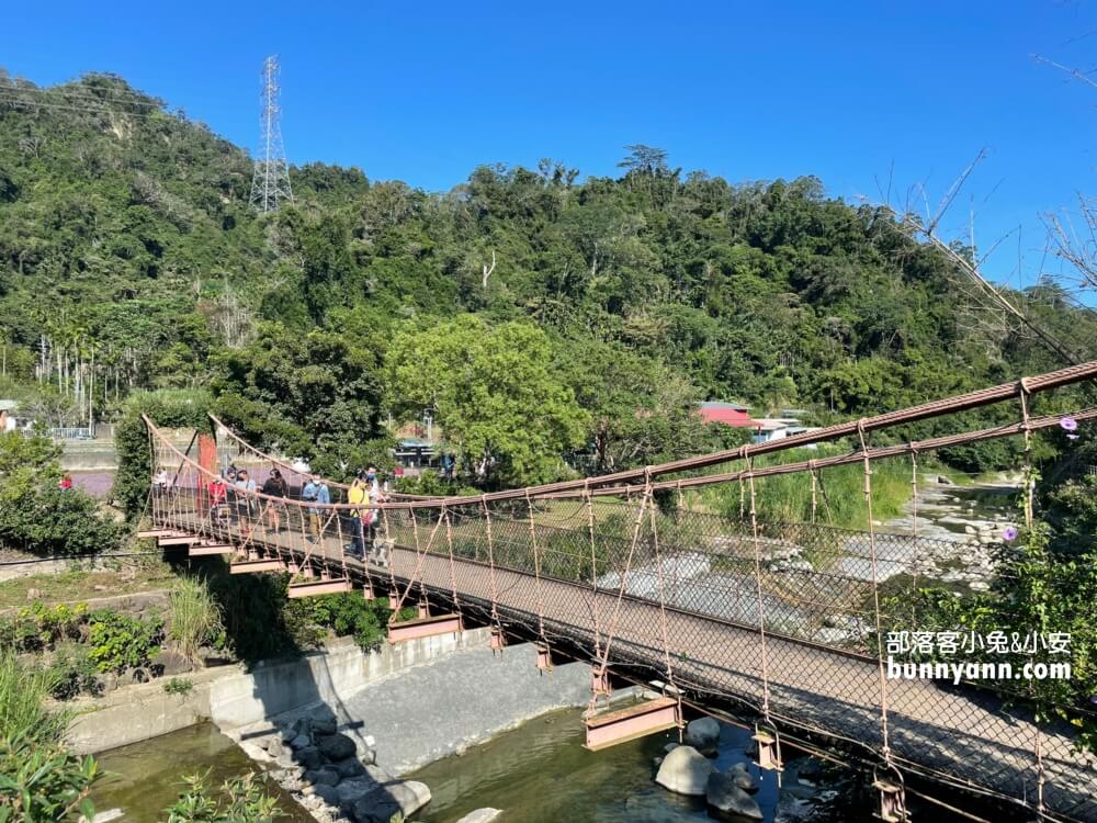 獅潭仙草花節值得去嗎？帶你停車跟吃仙草冰，夢幻紫色花海