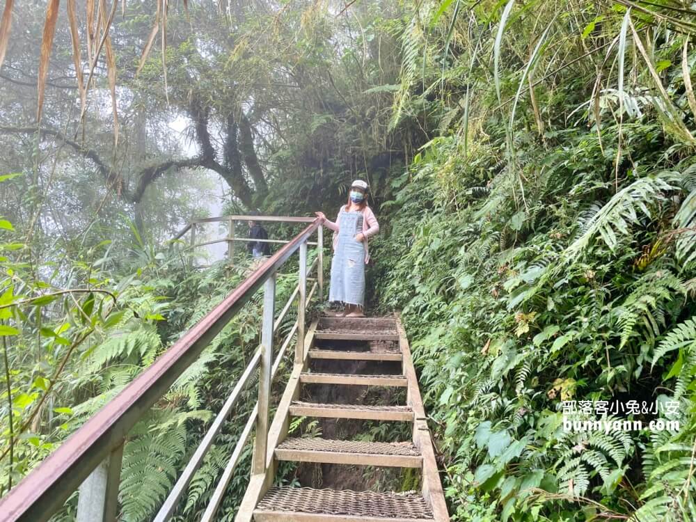 南投忘憂森林怎麼去?分享森林現況，上山接駁車費用
