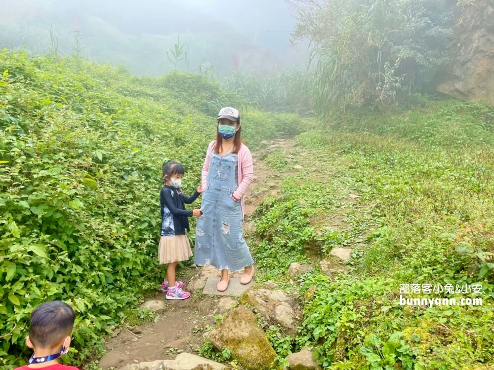 南投忘憂森林怎麼去?分享森林現況，上山接駁車費用
