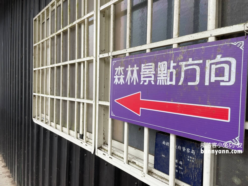 南投忘憂森林怎麼去?分享森林現況，上山接駁車費用