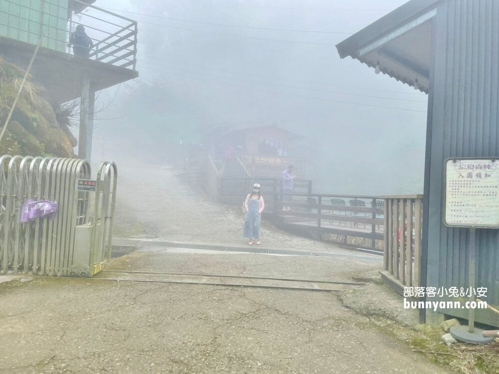 南投忘憂森林怎麼去?分享森林現況，上山接駁車費用