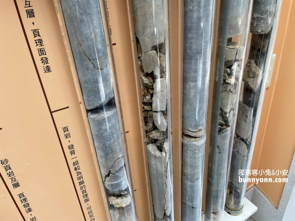 桃園拉拉山【巴陵古道生態園區】免費暢遊四座生態館，森林吊橋好有趣!!