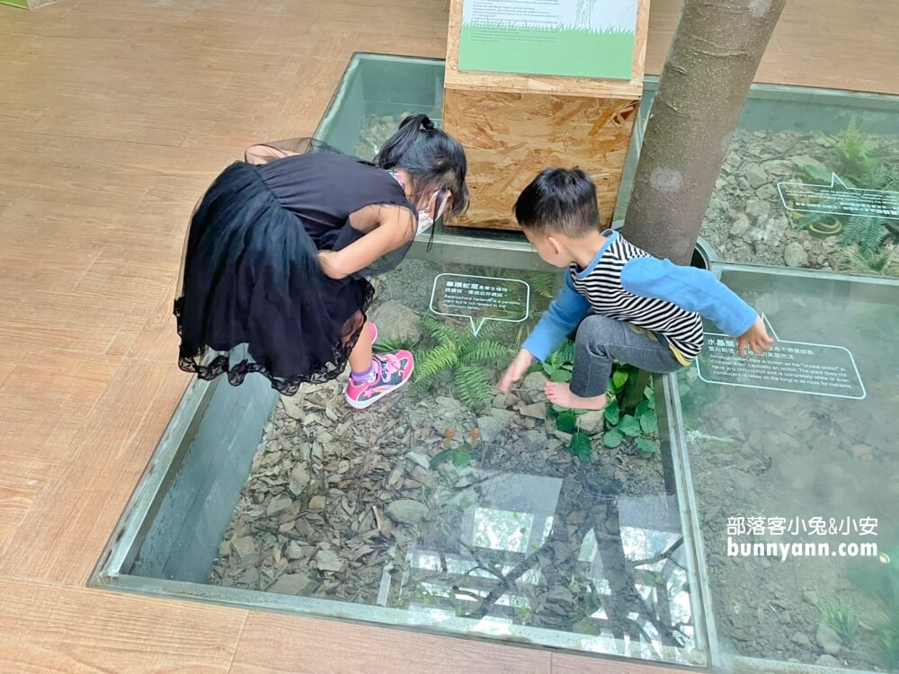桃園拉拉山【巴陵古道生態園區】免費暢遊四座生態館，森林吊橋好有趣!!