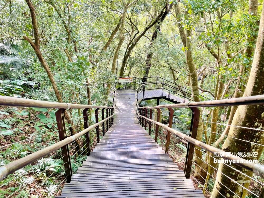 桃園拉拉山【巴陵古道生態園區】免費暢遊四座生態館，森林吊橋好有趣!!