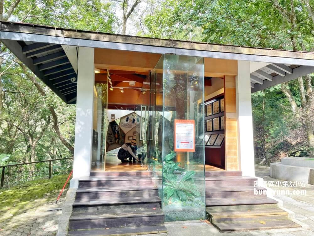 桃園拉拉山【巴陵古道生態園區】免費暢遊四座生態館，森林吊橋好有趣!!