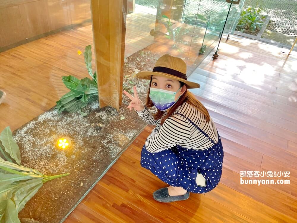 桃園拉拉山【巴陵古道生態園區】免費暢遊四座生態館，森林吊橋好有趣!!