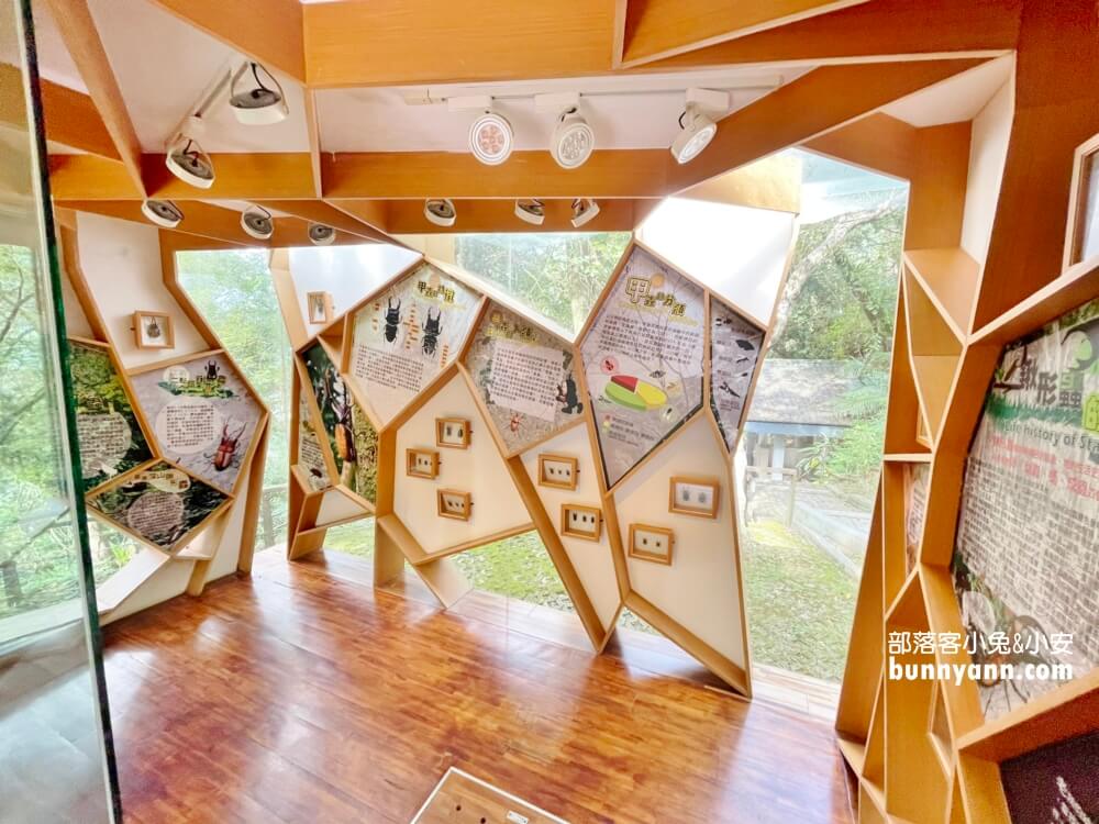 桃園拉拉山【巴陵古道生態園區】免費暢遊四座生態館，森林吊橋好有趣!!