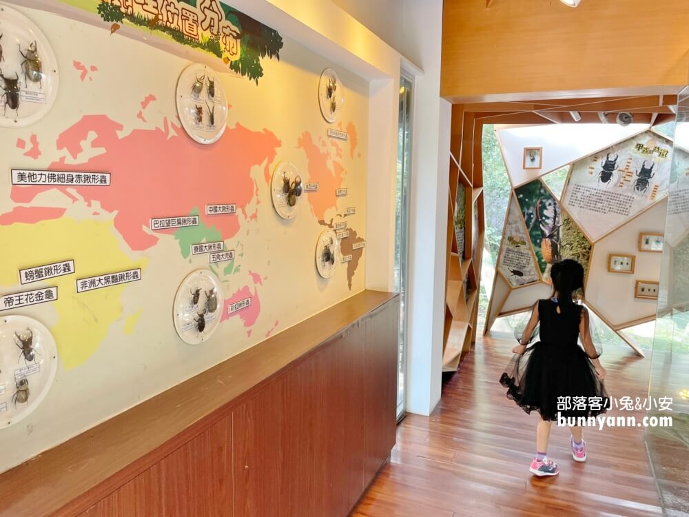 桃園拉拉山【巴陵古道生態園區】免費暢遊四座生態館，森林吊橋好有趣!!