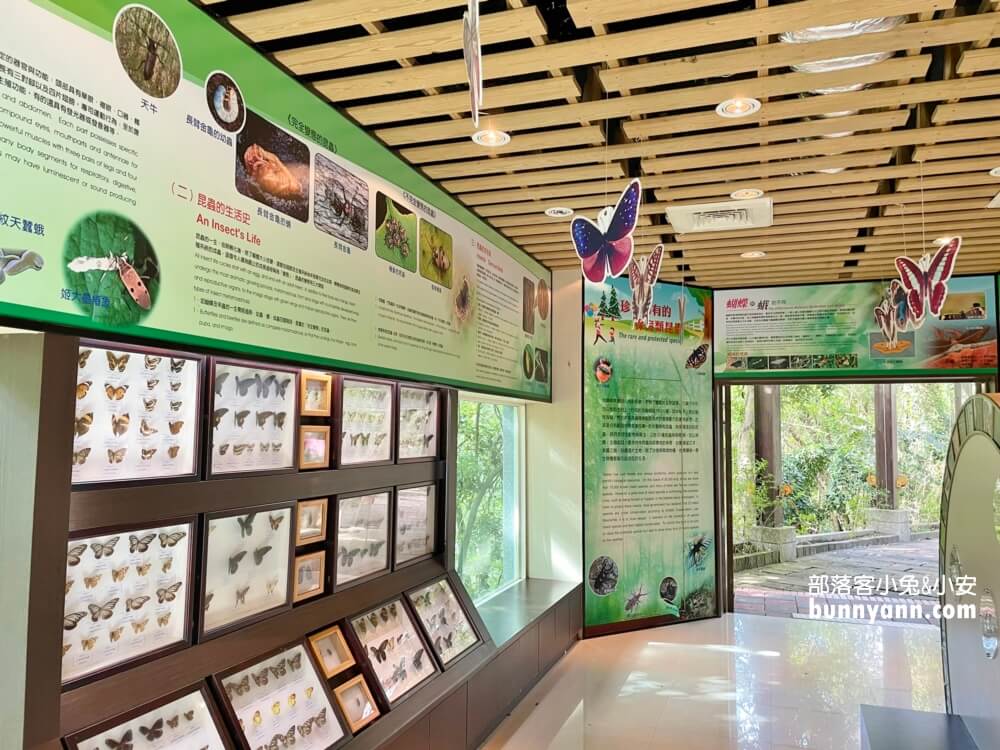 桃園拉拉山【巴陵古道生態園區】免費暢遊四座生態館，森林吊橋好有趣!!