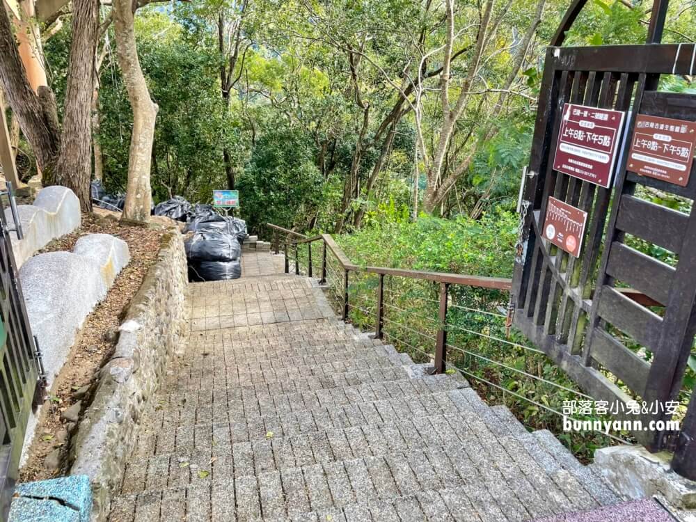 桃園拉拉山【巴陵古道生態園區】免費暢遊四座生態館，森林吊橋好有趣!!