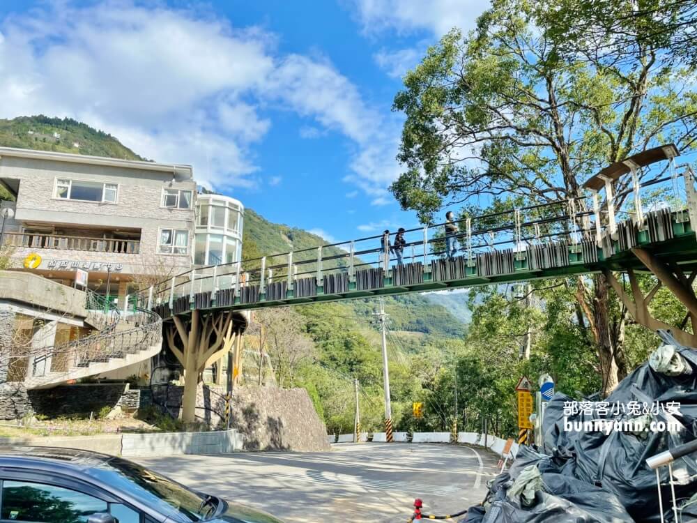 桃園拉拉山【巴陵古道生態園區】免費暢遊四座生態館，森林吊橋好有趣!!