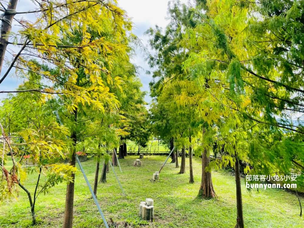 大溪【黃色小屋咖啡莊園】藏身田野的景觀咖啡廳，下午茶好吃又好拍
