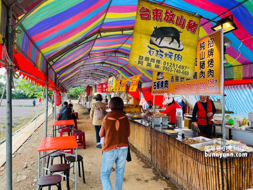 2024桃園楊梅仙草花節一日遊，走進南法紫色普羅旺斯