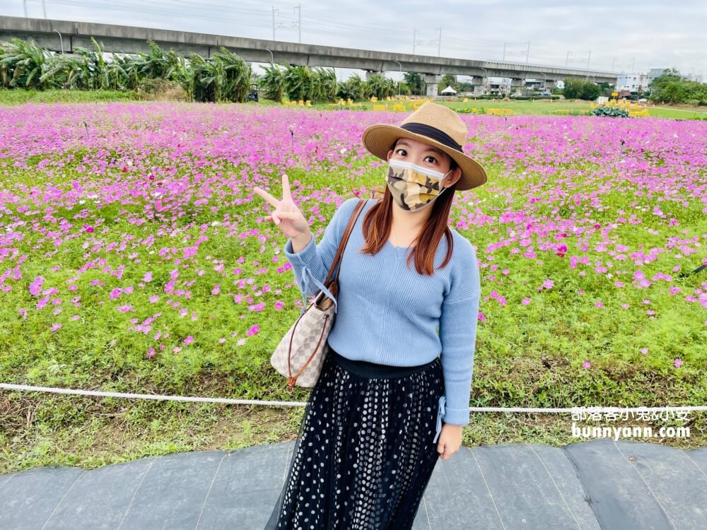 2024桃園楊梅仙草花節一日遊，走進南法紫色普羅旺斯